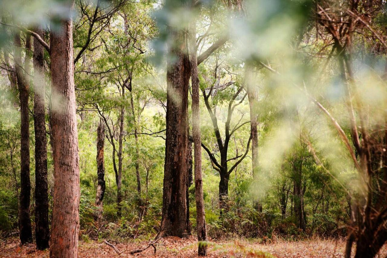 มาร์กาเรต ฟอเรสต์ ฮอลิเดย์ อพาร์ตเมนต์ Aparthotel Margaret River ภายนอก รูปภาพ