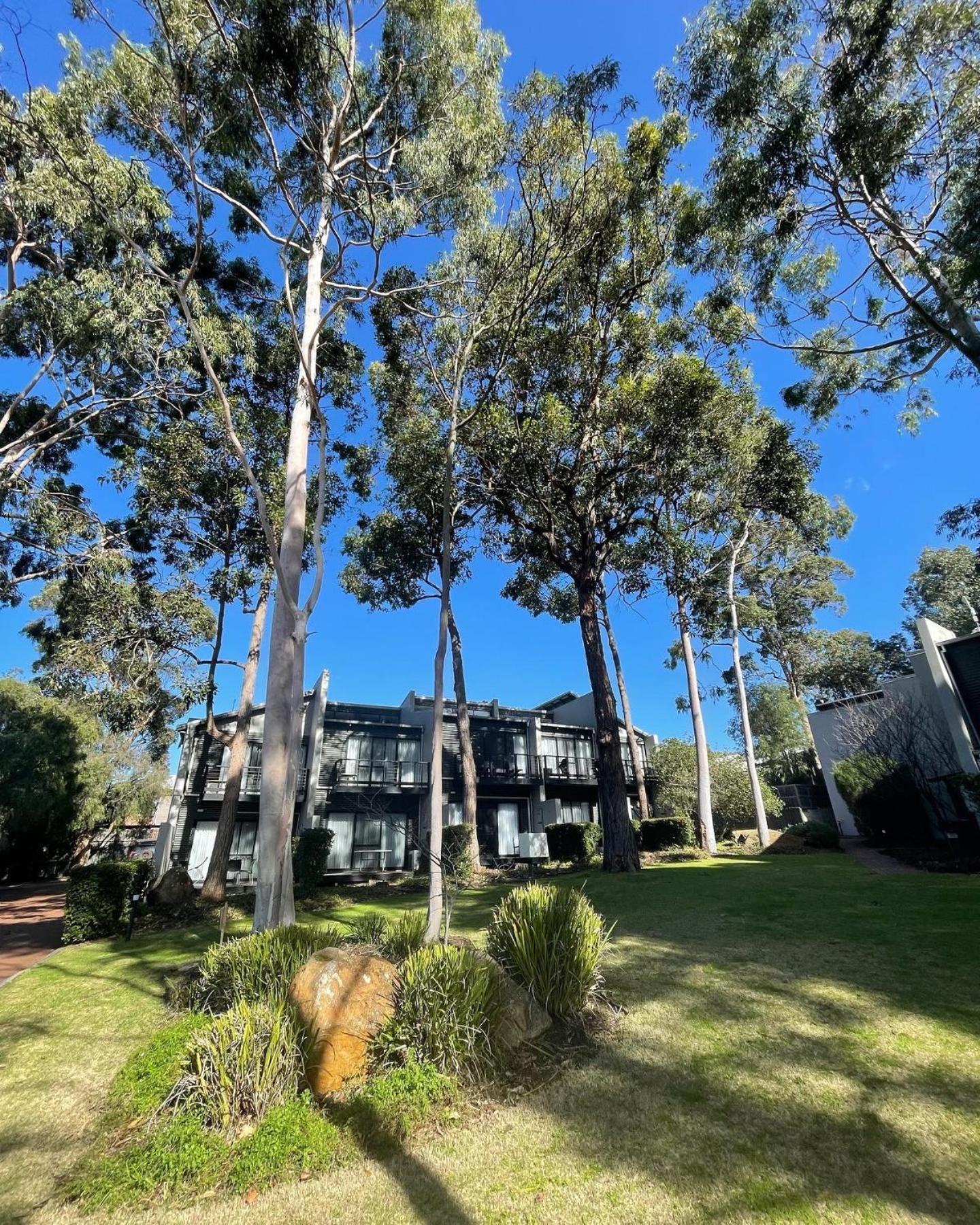 มาร์กาเรต ฟอเรสต์ ฮอลิเดย์ อพาร์ตเมนต์ Aparthotel Margaret River ภายนอก รูปภาพ
